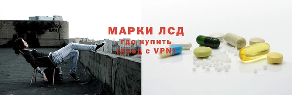 стаф Гусев