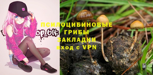 стаф Гусев