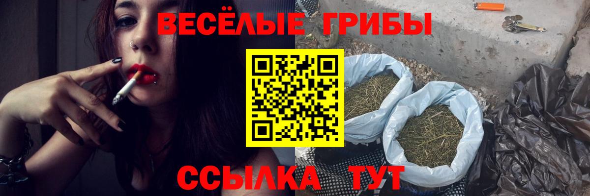 Галлюциногенные грибы Cubensis  Псилоцибиновые грибы мицелий  купить наркоту  Моршанск 